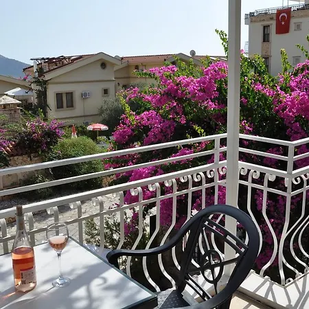 Korsan Kalkan